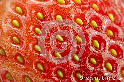 A Close-Up of a Raw Fruit Strawberry Texture