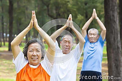 Close-up of seniors doing gymnastics in the park