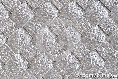 Close up of Silver leather