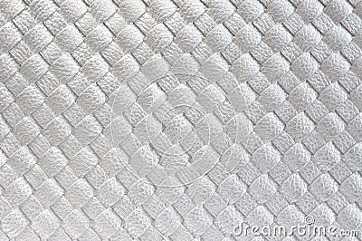 Close up of Silver leather