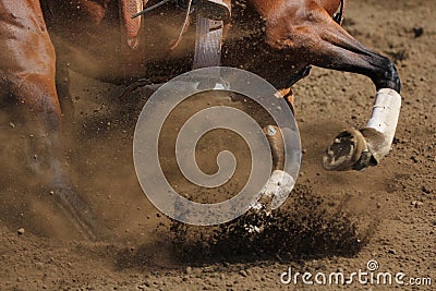 A close up view of a horse galloping.