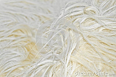 Close up of white sheep wool