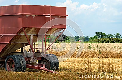 Closeup farm trailer in wheat field