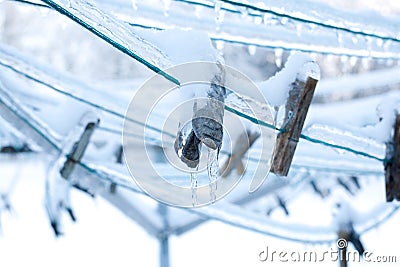 Clothes pins on frozen laundry line