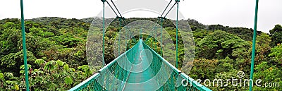 Cloud Forest hanging bridge, Costa Rica