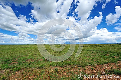 Cloud and grassland