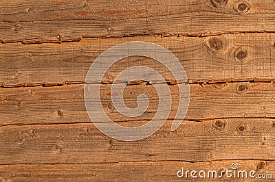 Coarse Grained Wooden Background