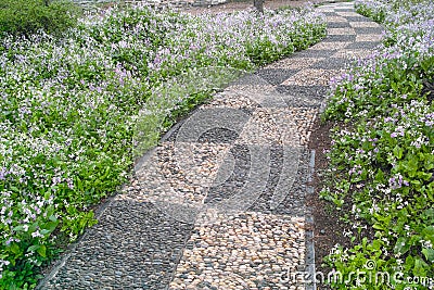 Cobblestone walkway