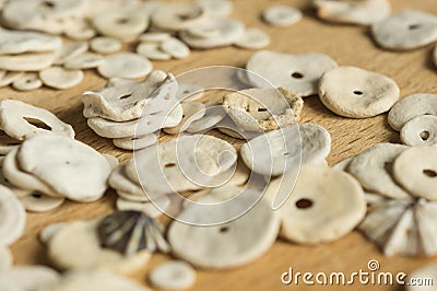 The cockleshells scattered on a wooden surface
