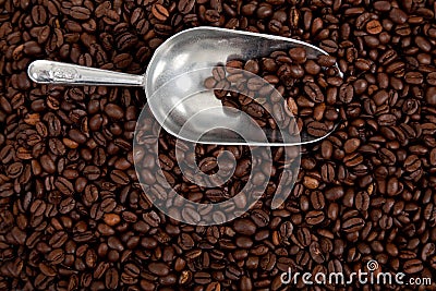 A coffee bean background with a silver scoop