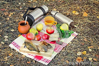 Coffee and food for a picnic in the woods