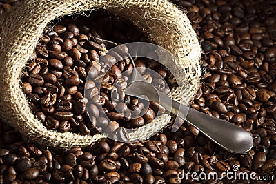 Coffee seed on sack with metal scoop