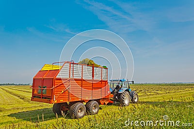 Collecting grass with tractor and silage wagon