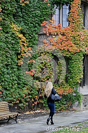 College with fall ivy