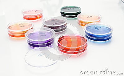Color liquid in old plastic petri dishes