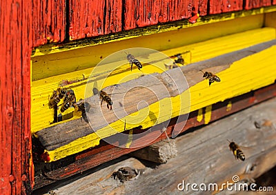 Colorful bee hives