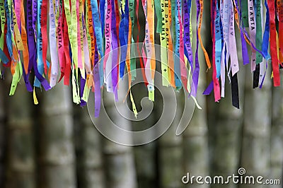 Colorful Brazilian Carnival Wish Ribbons Bamboo Forest