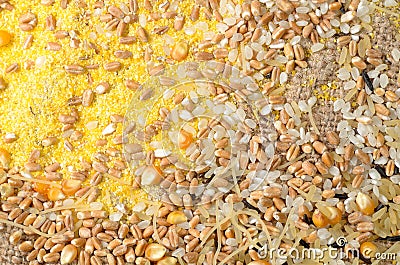 Colorful cereal seeds background