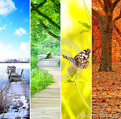 Colorful four seasons