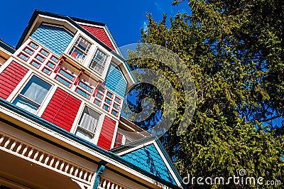 Colorful house and pine tree in Gettysburg, Pennsylvania.