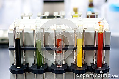 Colorful Laboratory Test tubes