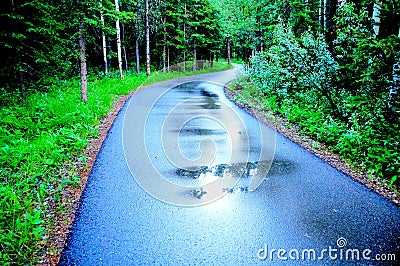 Colorful rainy path
