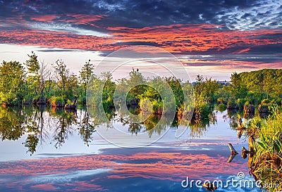 Colorful summer morning on river