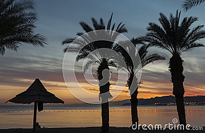 Colorful sunset on palm beach of Eilat