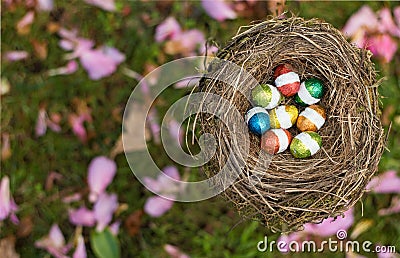 Colors Egg Nest