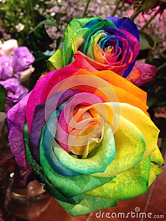 7 colors rose for Chinese Valentine s Day