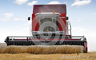 Combine harvesting wheat