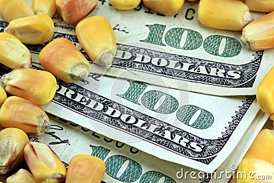 Options market concepts and strategies