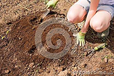 Community garden