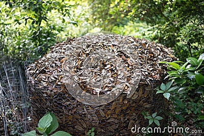 Compost Heap in Chicken wire Enclosure