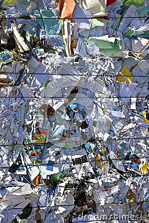 recycling compressed blocks paper plant cardboard ready