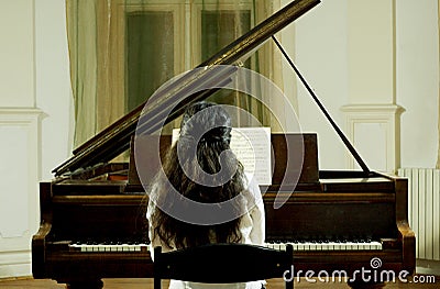 Concert Pianist at the Piano