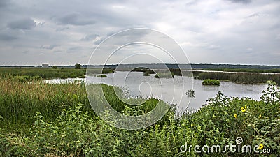 Conservation and preservation area in Texas