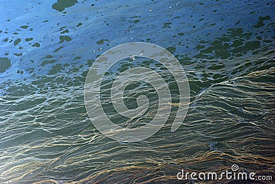 Polluted Caspian Sea Royalty Free Stock Phot