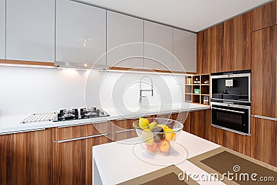 Contemporary kitchen interior