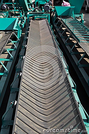 Conveyor belt for Agricultural products