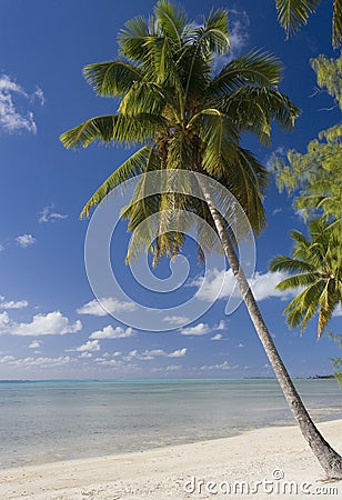Cook Islands - Tropical Beach Paradise