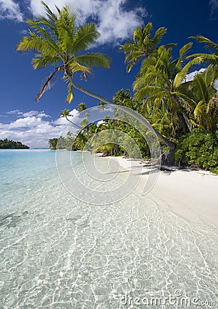 Cook Islands - Tropical Beach Paradise