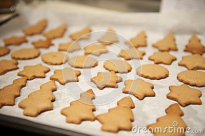 Cookies just came out of the oven