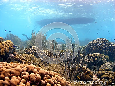 Coral reef and dive boat