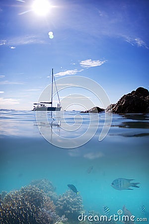 Coral Reef fish boat sun water and sky