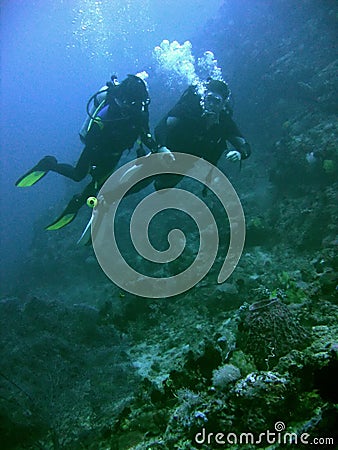 Coral reef scuba diving couple philippines