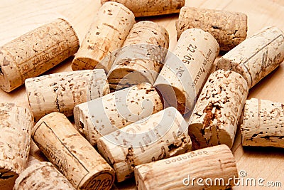 Cork of a wine bottle