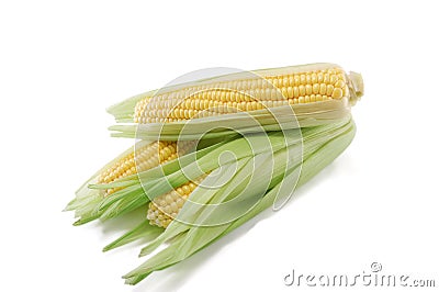 Corn Ears Royalty Free Stock Photos - Image: 
