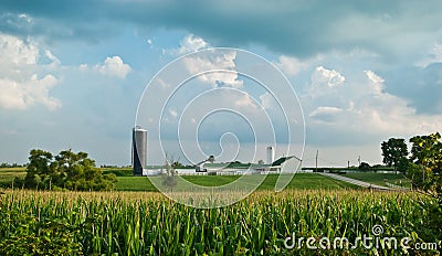 Corn Farm Landscape