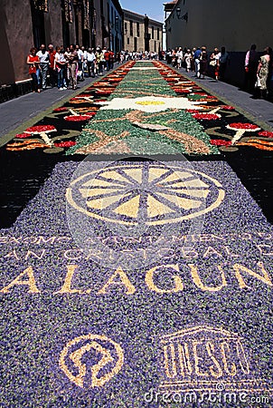 Corpus Christi flower carpets, La Laguna, Tenerife, Canary Islands, Spain